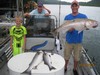 (07/03/2015) - Nice Striped Bass
